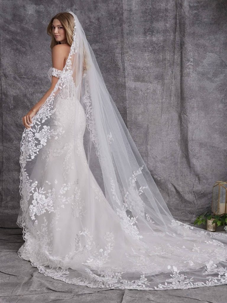 
wedding Dress  lace